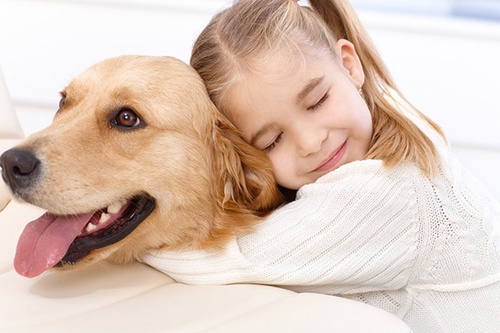 Unlocking the Magic of Canine Companionship Discovering the Best Dogs for Kids
