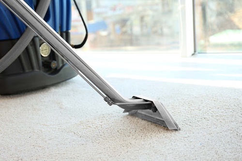 Safe and Effective Carpet Cleaning for Your Family in NYC