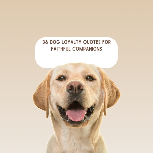 36 Dog Loyalty Quotes for Faithful Companions