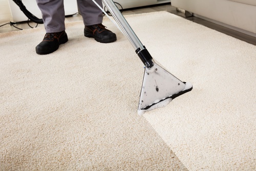 Choose The Professional Team For Carpet Cleaning San Marcos