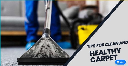 Tips for keeping your carpet clean and healthy