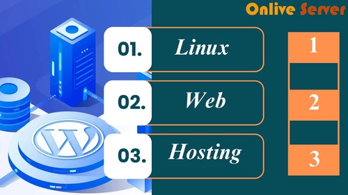 Exploring the Flexibility of Linux Web Hosting for Developers