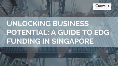Unlocking Business Potential: A Guide to EDG Funding in Singapore