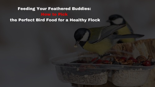 Feeding Your Feathered Buddies: How to Pick the Perfect Bird Food for a Healthy Flock