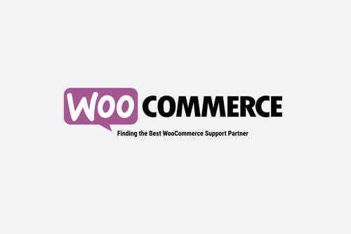 The Future of eCommerce: Trends and Predictions for WooCommerce Stores