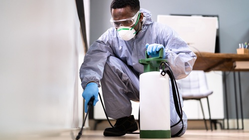 The Crucial Role of Regular Pest Inspections in Office Spaces